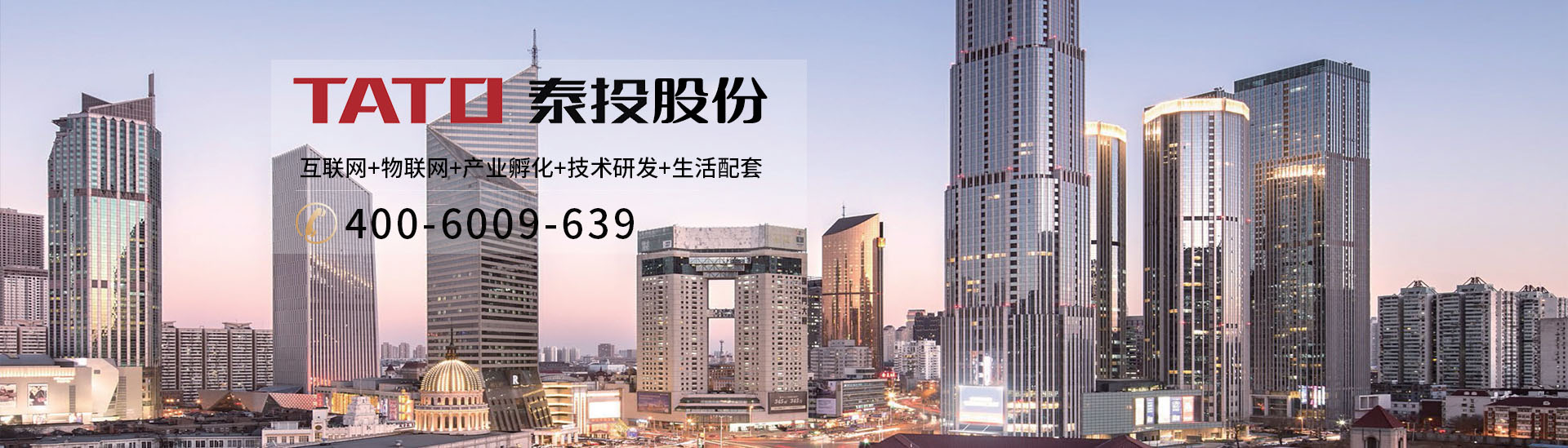 河南泰投實(shí)業(yè)股份有限公司